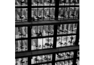 Elmer Holmes Bobst - @FakeNYUBobst - Twitter