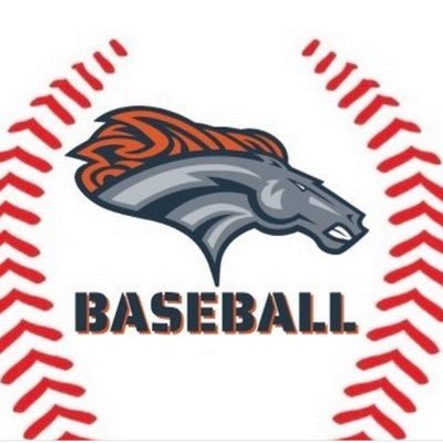 East Forsyth HS (Gainesville, GA) Baseball Recruiting Page