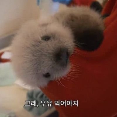 menggal_00's profile picture. ..