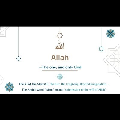 hib1754001's profile picture. 