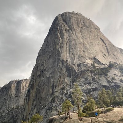 Shoogacake's profile picture. Green Tea