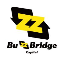 BuzzBridge Capital(@BZB_Capital) 's Twitter Profile Photo