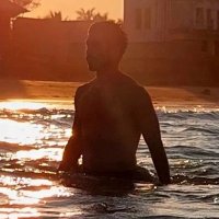Gibran Poisot (@gibranpoisot) 's Twitter Profile