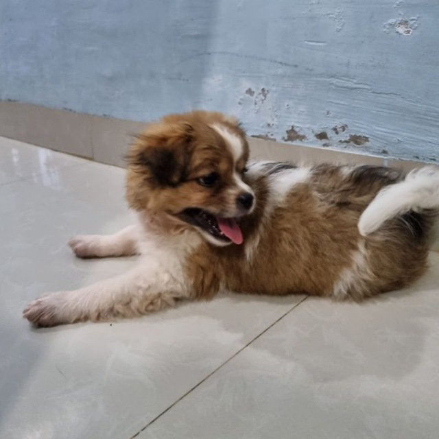 Vanessa81259342's profile picture. 