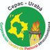 CEPAC URABÁ (@cepacuraba) Twitter profile photo CEPAC URABÁ (@cepacuraba) Twitter profile photo