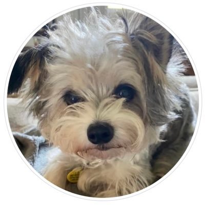 MonstersGirl3's profile picture. 