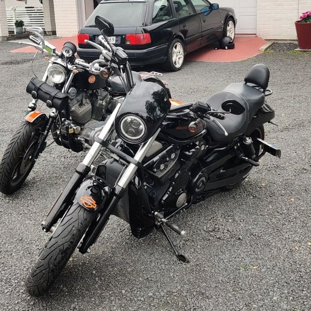 MoodyNancy50487's profile picture. 