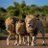 ArjunKumarB1's profile image