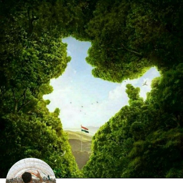 AnneGreen911082's profile picture. 