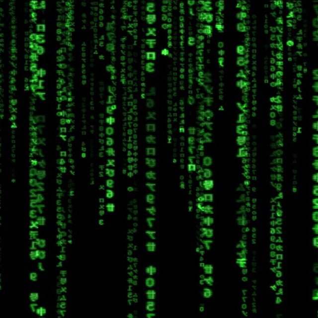 MaryEdward69667's profile picture. 