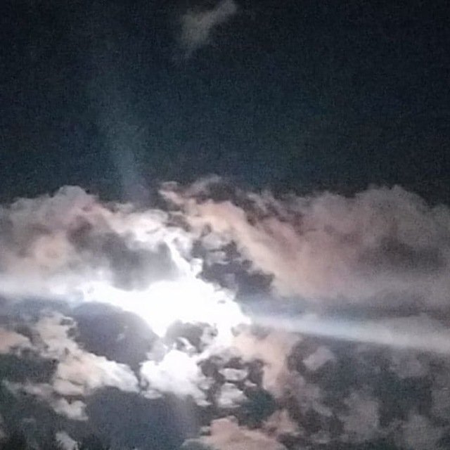 AngelaP66046891's profile picture. 