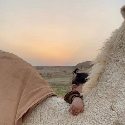 لأ تنخدع بهالرِقة تراي حمال أسيّة
