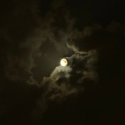 whoistheright's profile picture. 