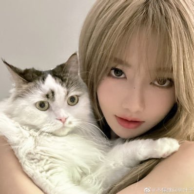 ·˚ 𝚖𝚢 𝚏𝚊𝚟 ⇀ ꒰ #袁一琦 #胡晓慧 yby sxr smy sxy zdn ꒱ https://t.co/0ey0Zbnt7f / 🐈 fan account