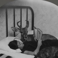 روان الشَمـري (@rndeerr) 's Twitter Profile