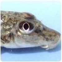 かまつか🎣 (@ys_journal) 's Twitter Profile Photo かまつか🎣 (@ys_journal) 's Twitter Profile Photo