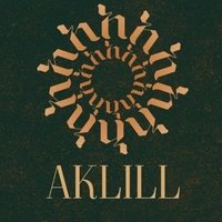 AKLILL(@AKLILLCOMPANY) 's Twitter Profile Photo