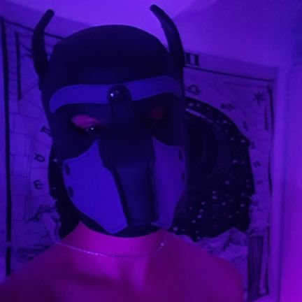 🔞 MINORS, ZOO,MAPS DNI |21| Transmasc •gay and ace• /switch/ BDSM,kink& gross fetish (NO TW)