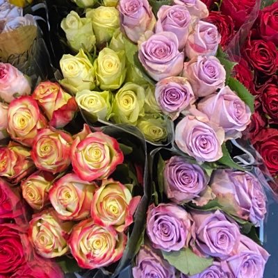 geminieiei's profile picture. 