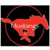 Martin Athletics (@Mustangs919) Twitter profile photo