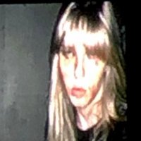 birds fear death (@birdsfeardeath) 's Twitter Profile