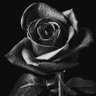 Ronaldjsantos's profile picture. 