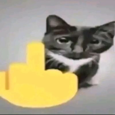 Oscarbl34's profile picture. 