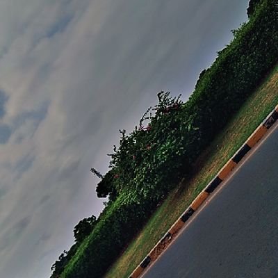 MahnoorZuni's profile picture. .