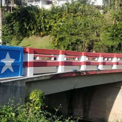 No soy perfecto pero me fajo todos los días para sobrevivir en ésta jungla. Amante y catador de cervezas, me gusta ver tv, chinchorriar y pasarla bien.