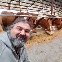 murat tuna (@murattuna3) 's Twitter Profile Photo