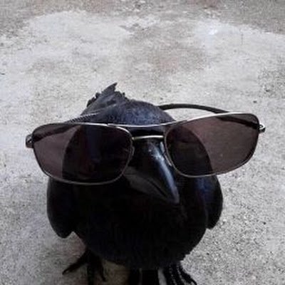 SuBuen52555's profile picture. 