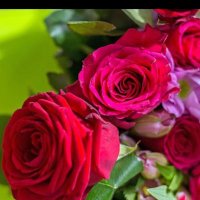 بدر 🇰🇼 (@bdr552256619142) 's Twitter Profile