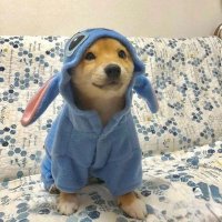 seven (@sevenphoenix382) 's Twitter Profile