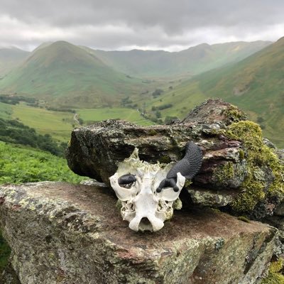 Walking and sliding around the Lake District (mainly). We love finding bones.