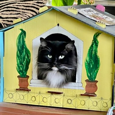 cat lover from East Texas. I watch reality tv and RHAP &🏈FOOTBALL 🏈. Here to learn what folks are thinking.