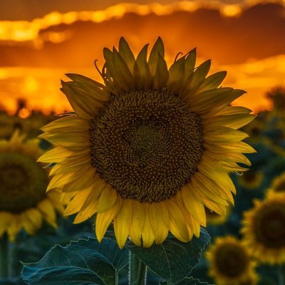 LOgo_73's profile picture. 