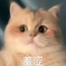 g gg (@panhuixiaowo) Twitter profile photo g gg (@panhuixiaowo) Twitter profile photo