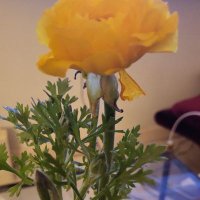 Alex Dan() ๐๐ (@alexdan48561160) 's Twitter Profile