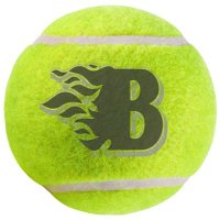 Blackman High School Tennis(@Blackman_Tennis) 's Twitter Profile Photo