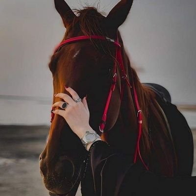 تحدث إليَّ بلطف، كما لو أنك مُقدم على لمس شيء هش للغاية.🪷