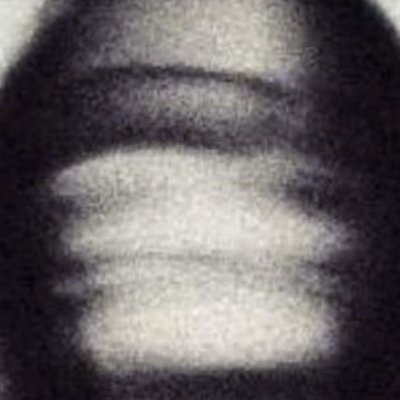 paranorvis Profile Picture