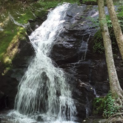 TabithaGarris12's profile picture. Saved by the grace of God,  US Army Desert Shield/Storm Veteran , blessed mom of three awesome kids