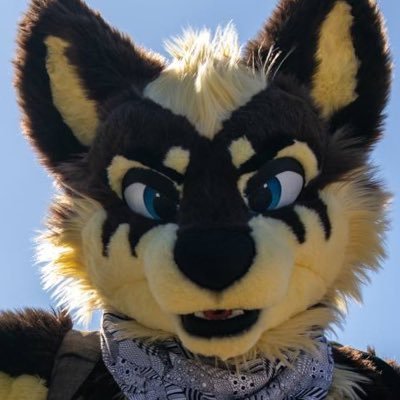 Aussie 🇦🇺 - @FursuitsByLacy suiter - Graphic Designer - Furry Artist - Guitarist - Dog Dad - 💚@Anthony_armstrong - AD @GangstaGuruAD