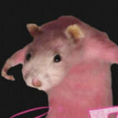 Rat 🐀🔞さんのプロフィール画像