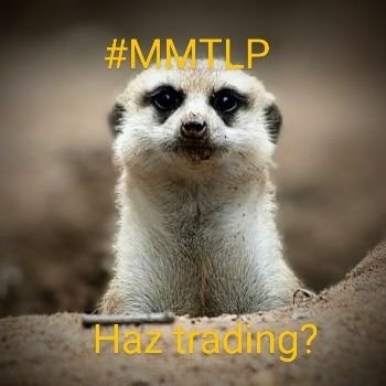Just a friendly Meerkat popping her head up to start $mmtlp trading.