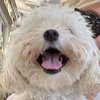 Zaza Connect (@mike_wonder001) 's Twitter Profile