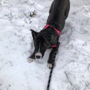 Ryan B - @RyanBye13 - Twitter