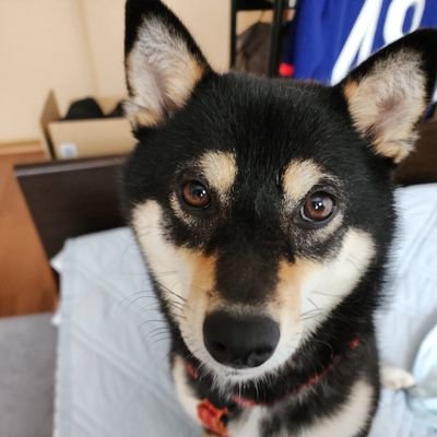 muea6679's profile picture. 