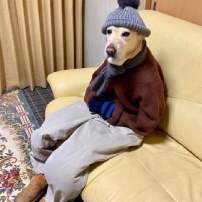 cheruiyotlouche's profile picture. Manchester city fan💙||Foden -x - KDb 💙
Messi fan🇦🇷🇰🇪~puea