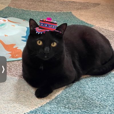 Geogirrl9999's profile picture. 